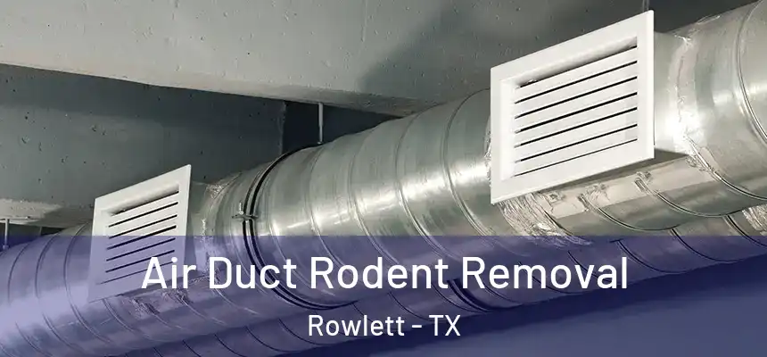  Air Duct Rodent Removal Rowlett - TX