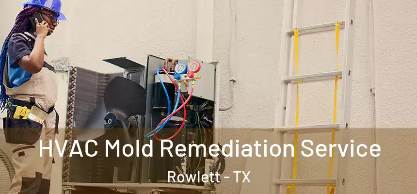  HVAC Mold Remediation Service Rowlett - TX