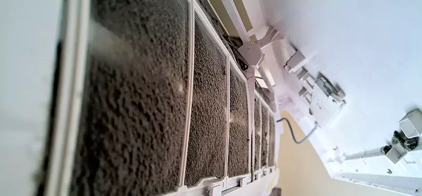 Preventive Air Duct Bacteria Removal in Rowlett