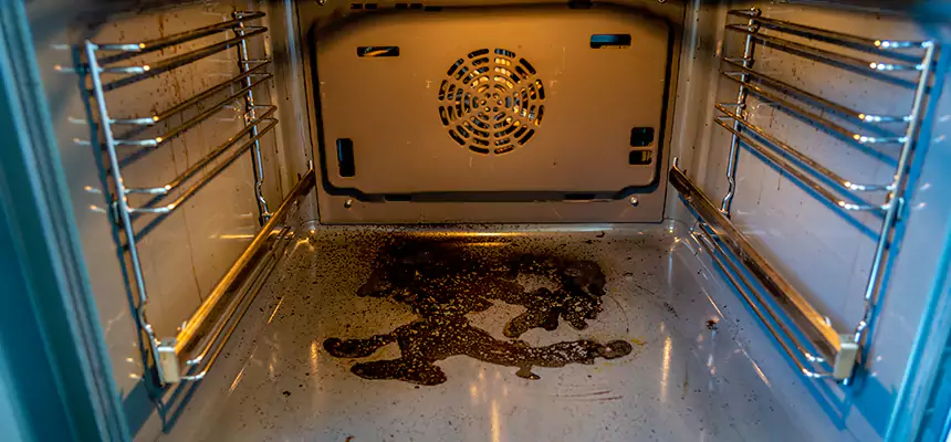 Our Dryer Vent Mold Cleaning Services in Rowlett, TX