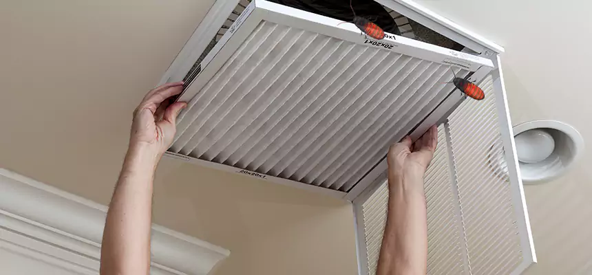 Our Insect Removal from Air Ducts Services in Rowlett, TX