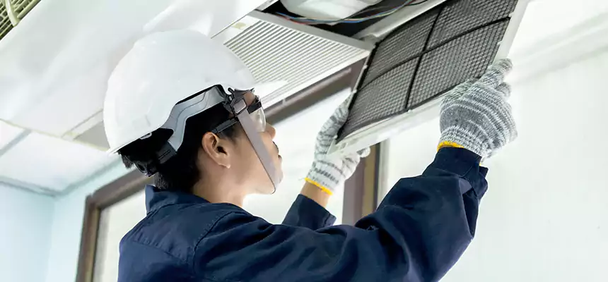 Our Mold & Mildew Removal from Air Ducts Services in Rowlett, TX