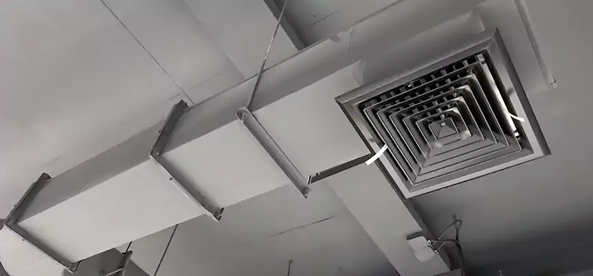 Our Pest Removal From Ducts Services in Rowlett, TX