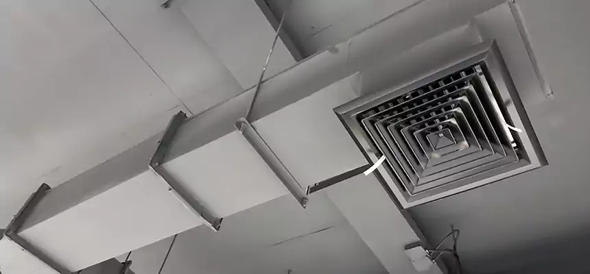 Our Rodent Droppings In Vents Services in Rowlett, TX