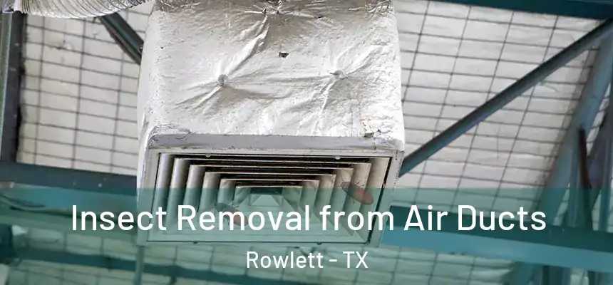 Insect Removal from Air Ducts Rowlett - TX
