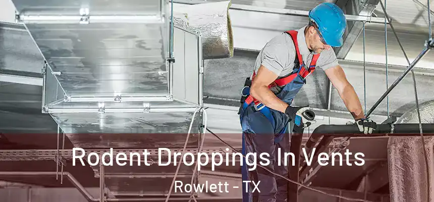  Rodent Droppings In Vents Rowlett - TX