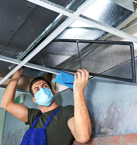 About Air Duct Bacteria Removal in Rowlett