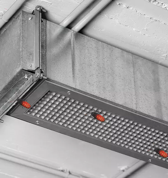 About Air Duct Cockroach Removal in Rowlett, TX