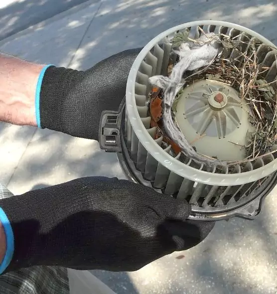 About Air Duct Rat Removal in Rowlett, TX