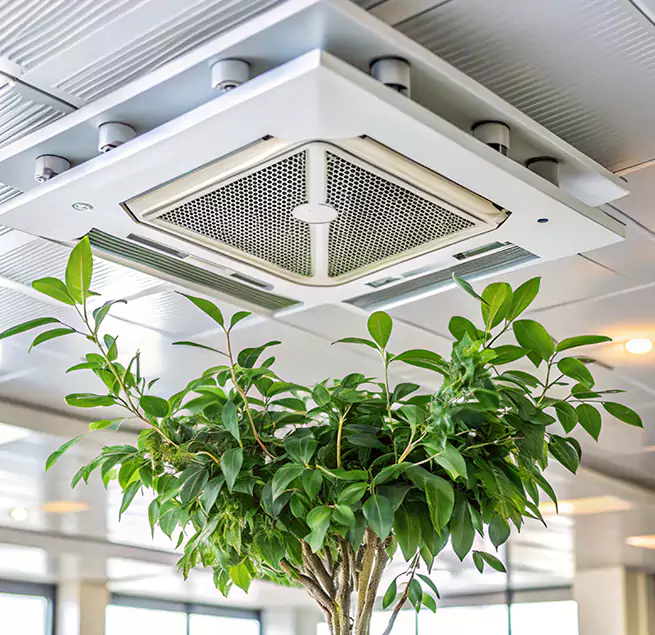 Why Homeowners & Businesses Trust Us in Rowlett, TX?