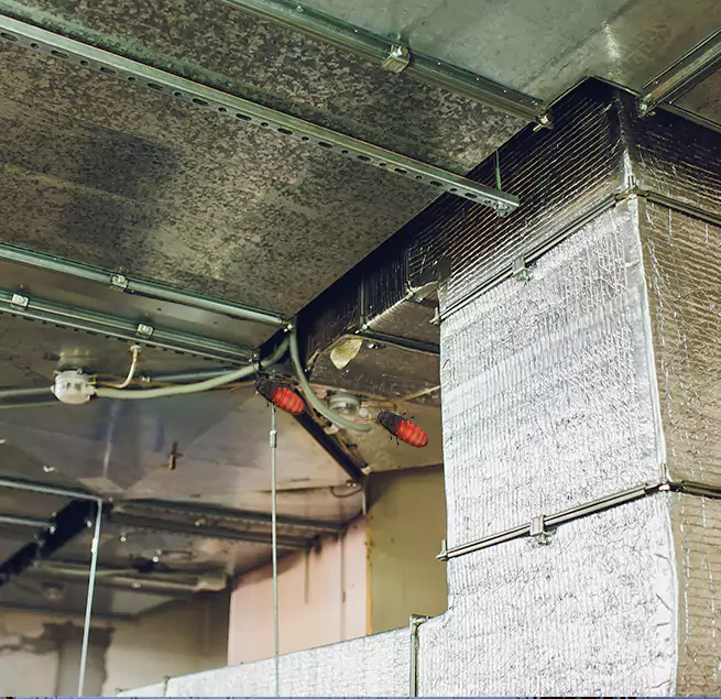 Why Homeowners & Businesses Trust Us Rowlett, TX?